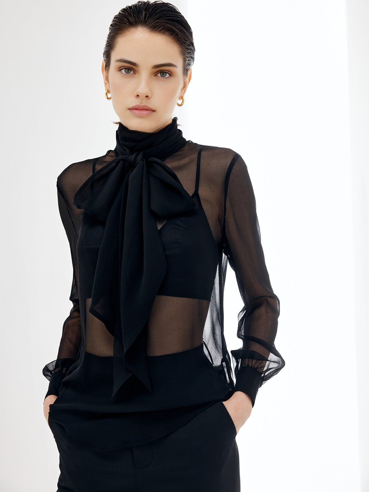 Sheer Bow Chiffon Blouse Sheer Bow Chiffon Blouse