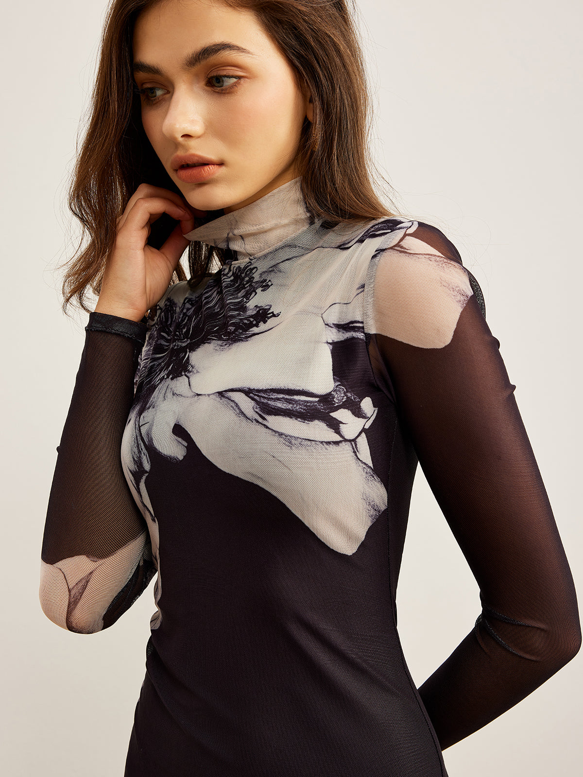 Mock Neck Printed Mesh Dress Mock Neck Printed Mesh Dress