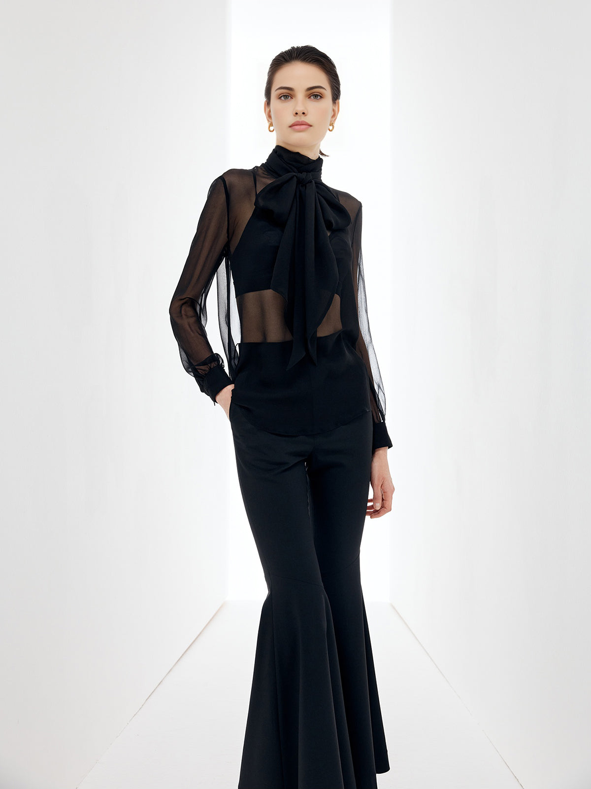 Sheer Bow Chiffon Blouse Sheer Bow Chiffon Blouse