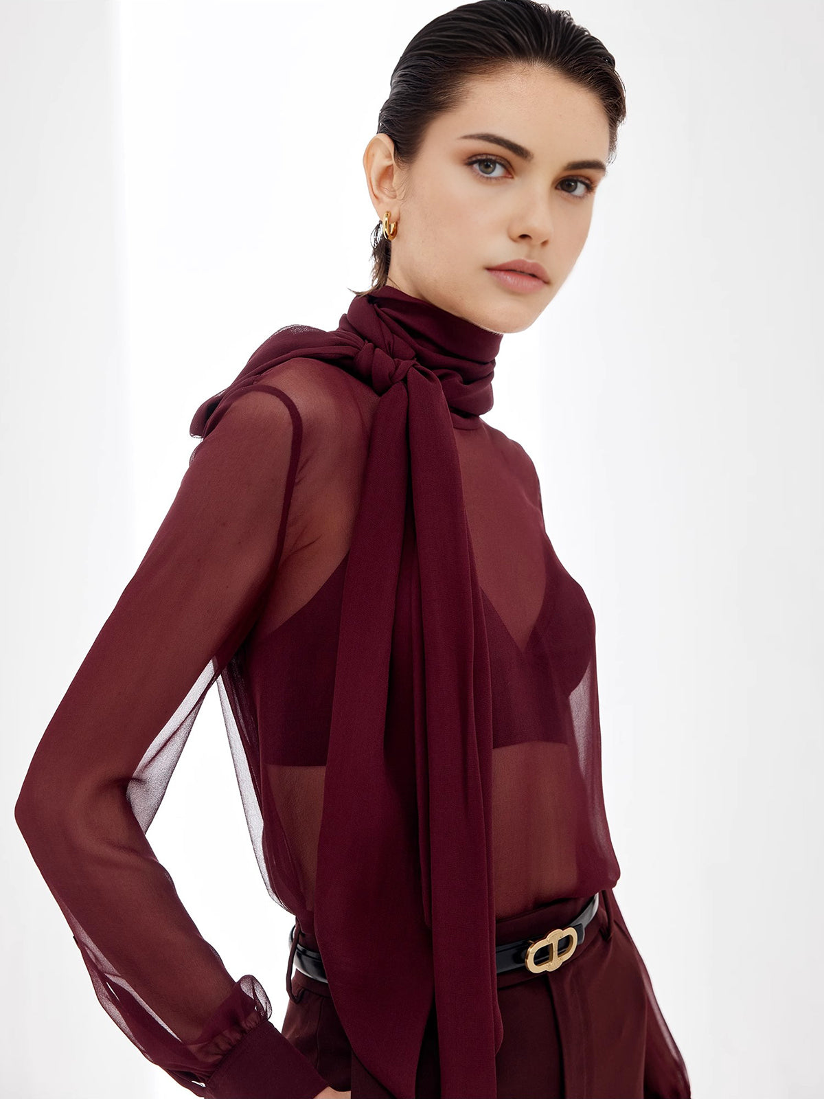 Sheer Bow Chiffon Blouse Sheer Bow Chiffon Blouse