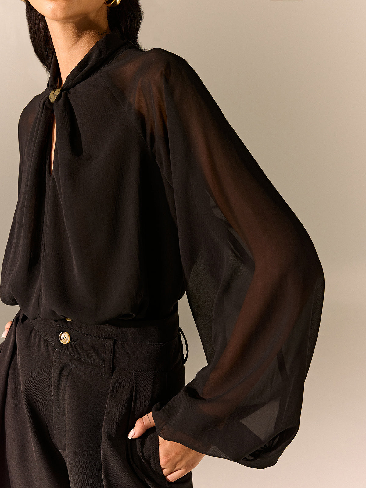 Semi-Sheer Chiffon Blouse with Neckline Metal Detail Semi-Sheer Chiffon Blouse with Neckline Metal Detail