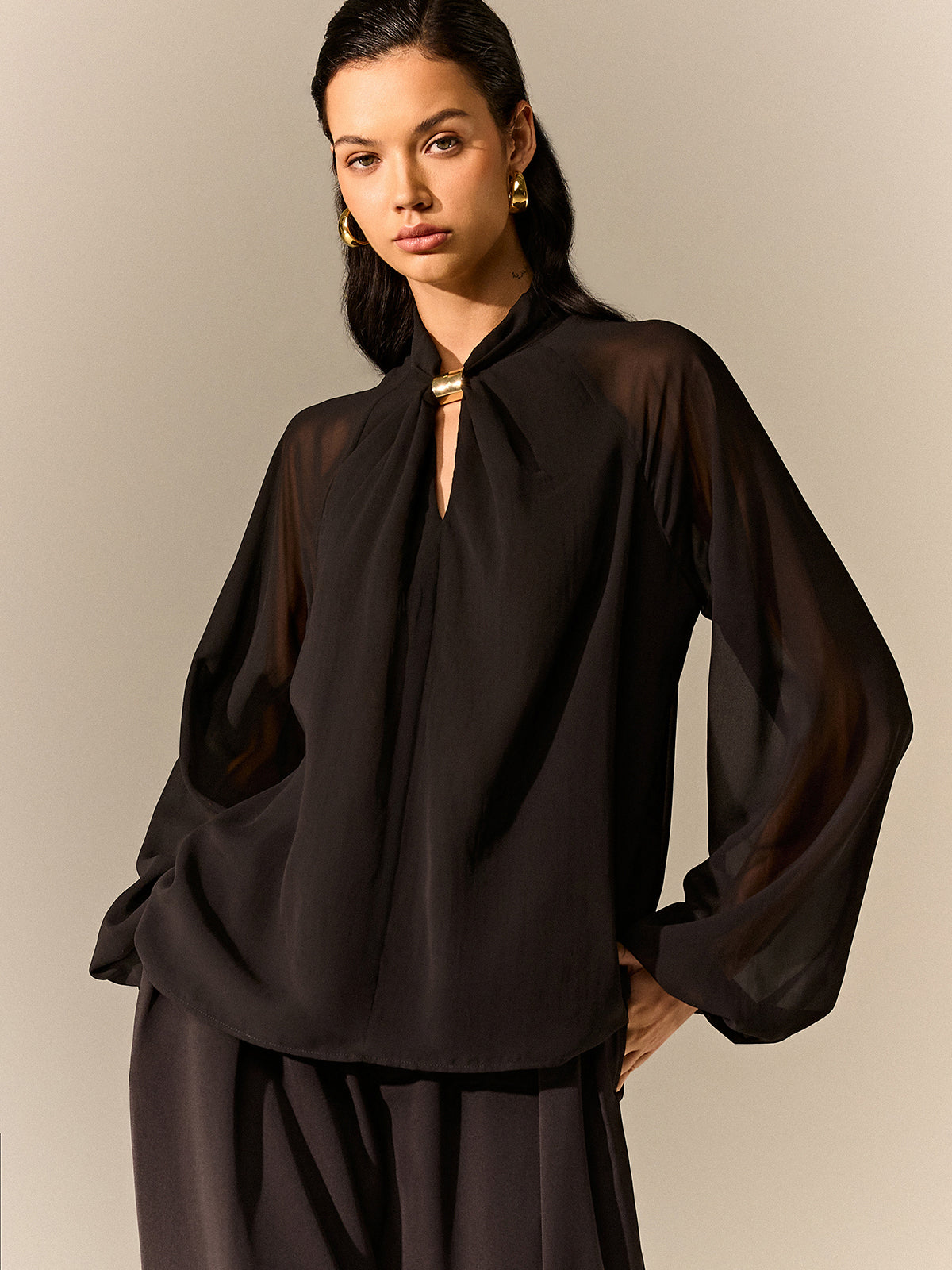 Semi-Sheer Chiffon Blouse with Neckline Metal Detail Semi-Sheer Chiffon Blouse with Neckline Metal Detail