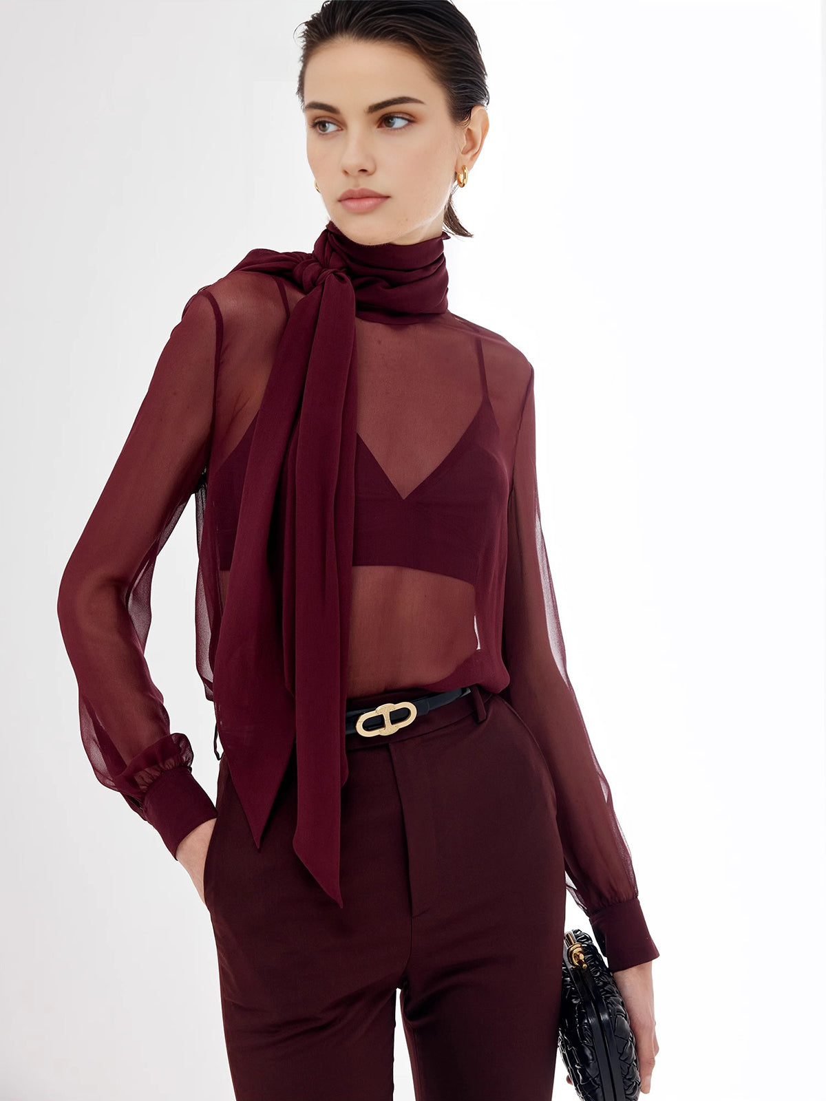 Sheer Bow Chiffon Blouse Sheer Bow Chiffon Blouse