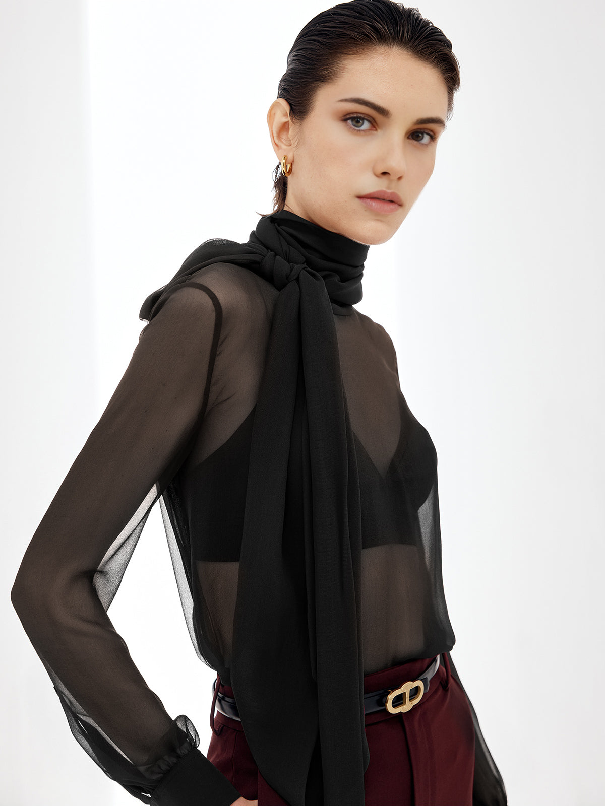 Sheer Bow Chiffon Blouse Sheer Bow Chiffon Blouse