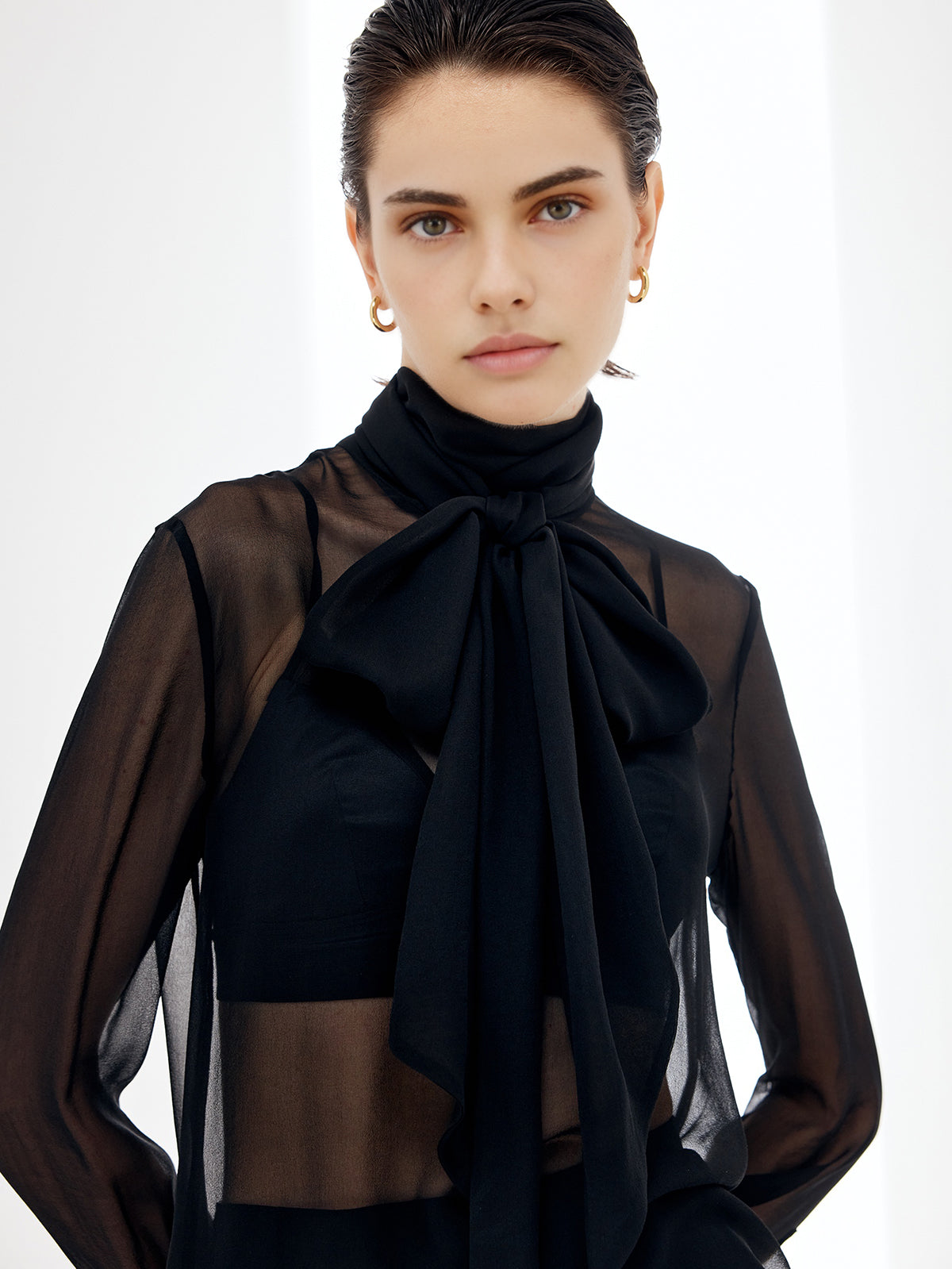 Sheer Bow Chiffon Blouse Sheer Bow Chiffon Blouse