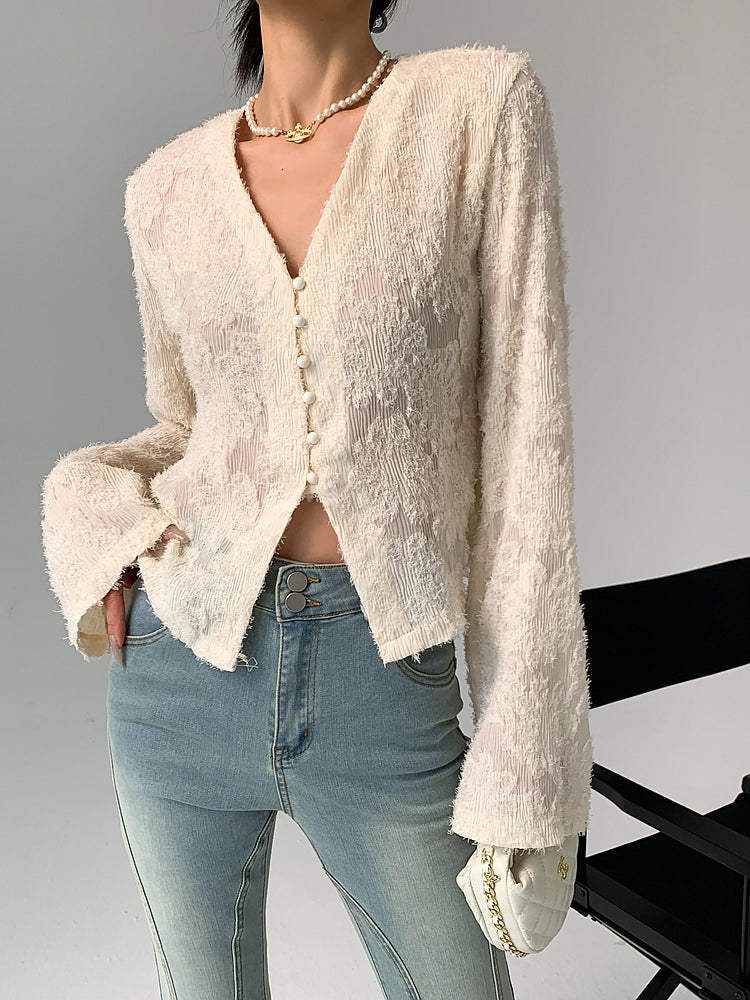Semi-Sheer V-Neck Ruffle Long Sleeve Blouse Semi-Sheer V-Neck Ruffle Long Sleeve Blouse