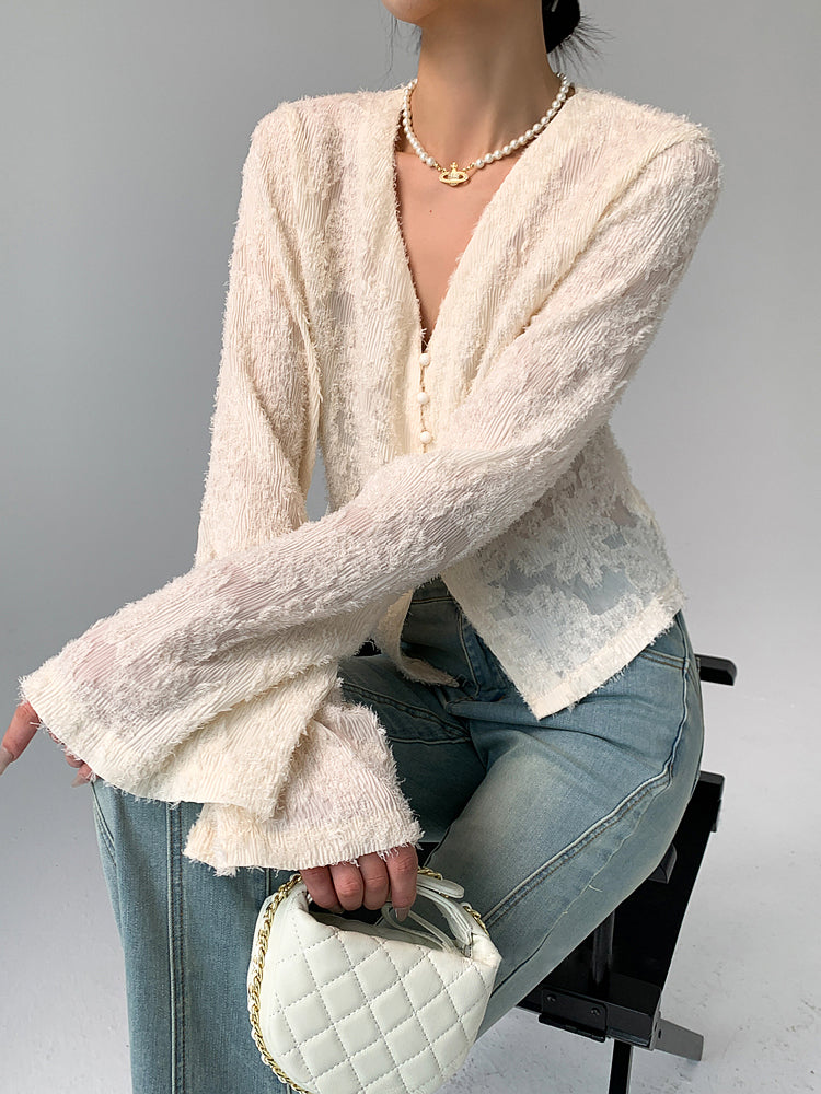 Semi-Sheer V-Neck Ruffle Long Sleeve Blouse Semi-Sheer V-Neck Ruffle Long Sleeve Blouse